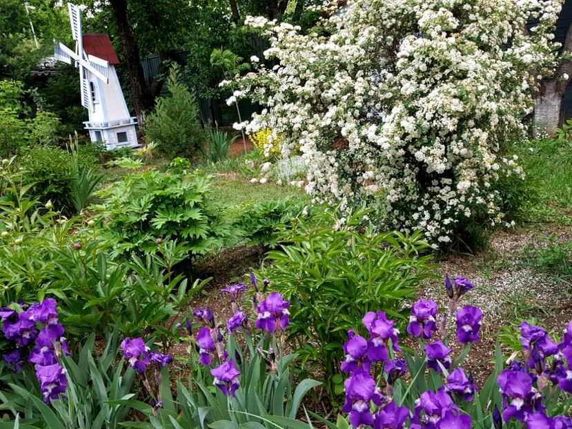  - 2020 Mart-Apr_Idilic garden