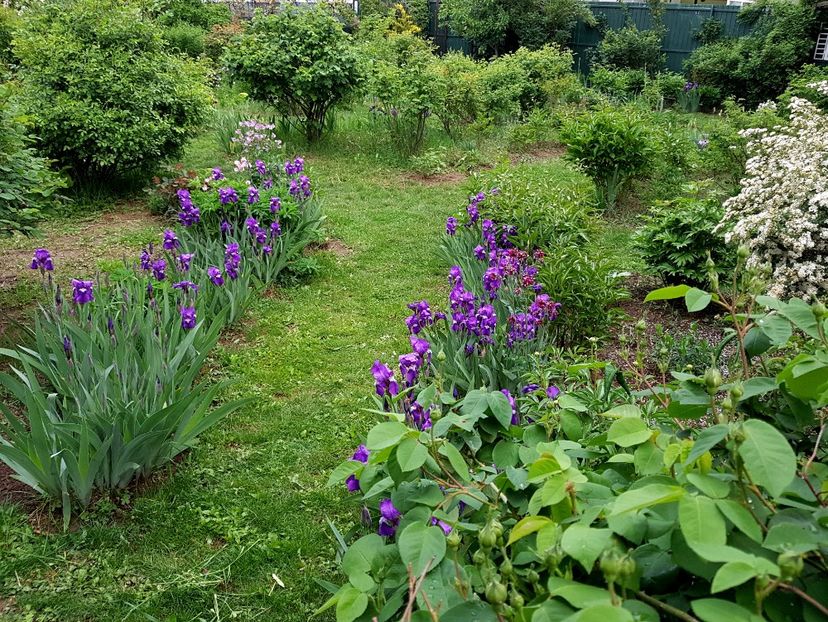  - 2020 Mart-Apr_Idilic garden