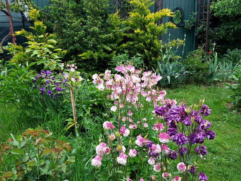  - 2020 Mart-Apr_Idilic garden