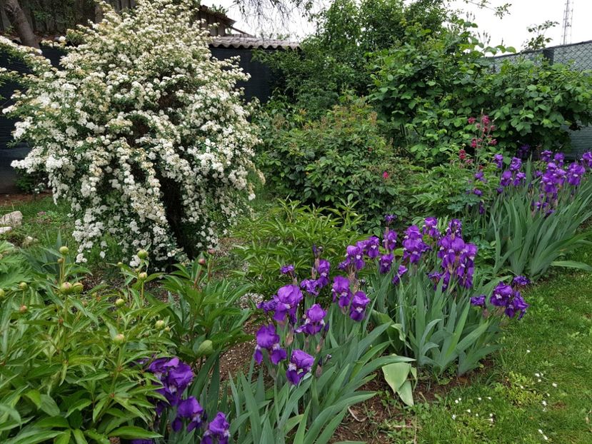  - 2020 Mart-Apr_Idilic garden