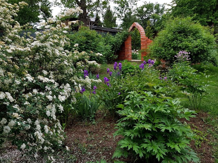  - 2020 Mart-Apr_Idilic garden