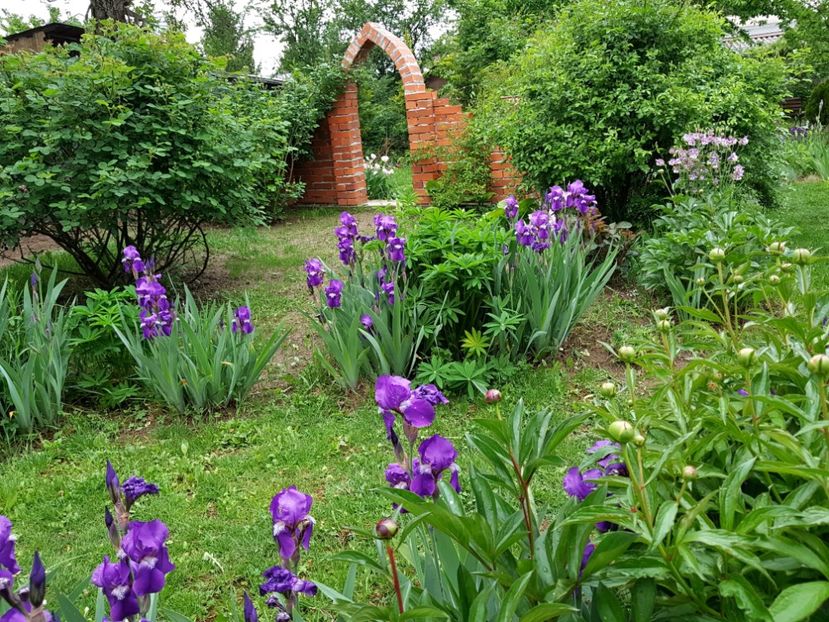  - 2020 Mart-Apr_Idilic garden