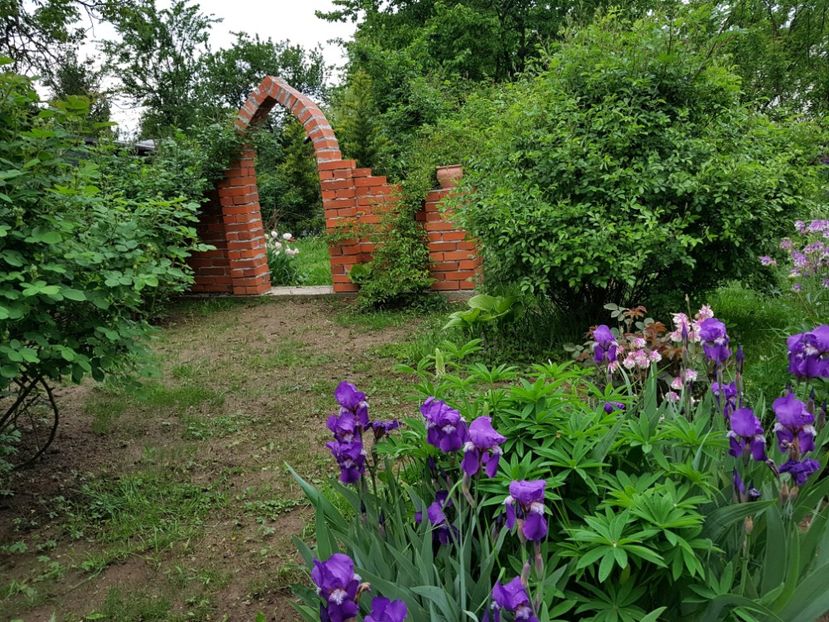  - 2020 Mart-Apr_Idilic garden