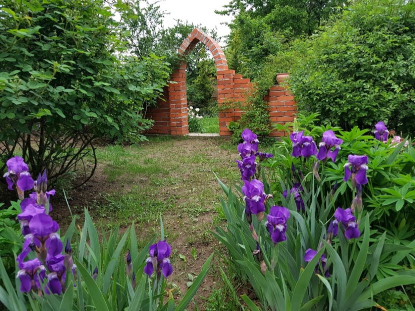  - 2020 Mart-Apr_Idilic garden