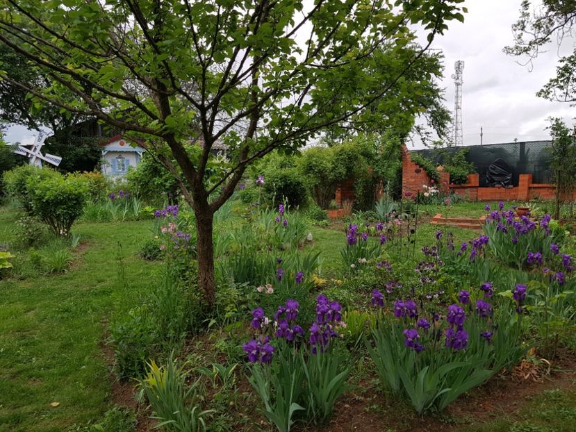  - 2020 Mart-Apr_Idilic garden