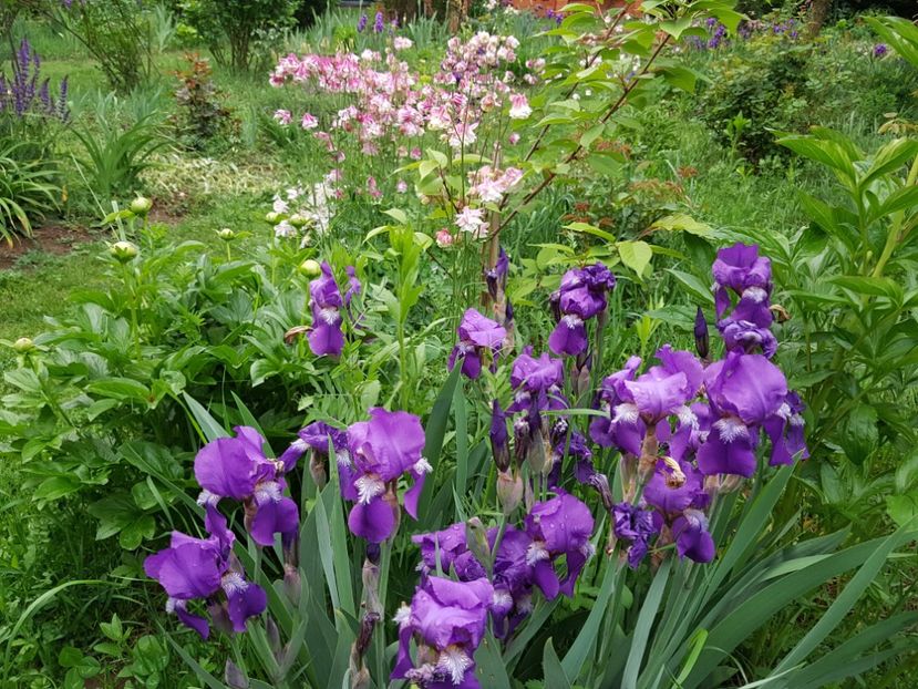  - 2020 Mart-Apr_Idilic garden