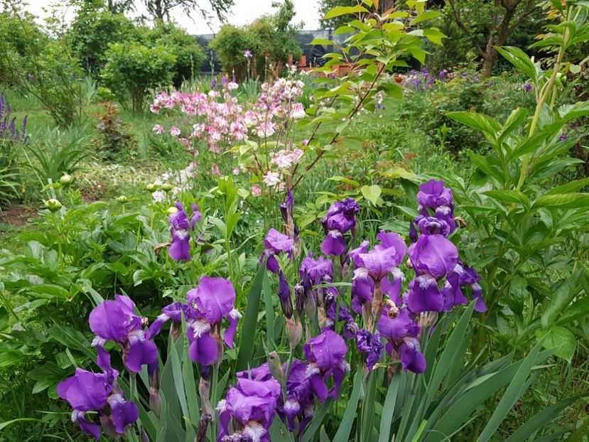  - 2020 Mart-Apr_Idilic garden