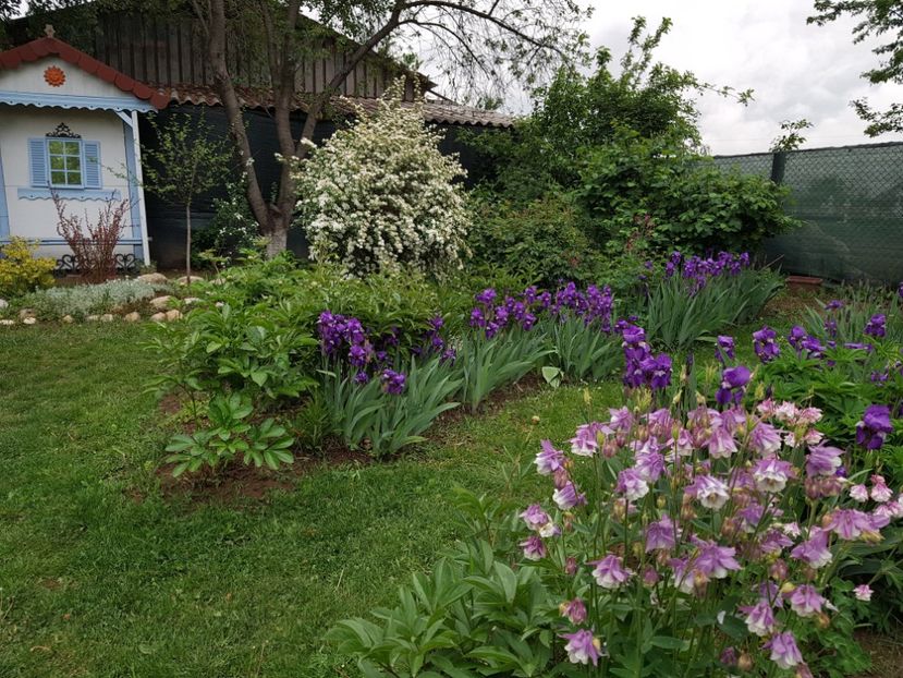  - 2020 Mart-Apr_Idilic garden