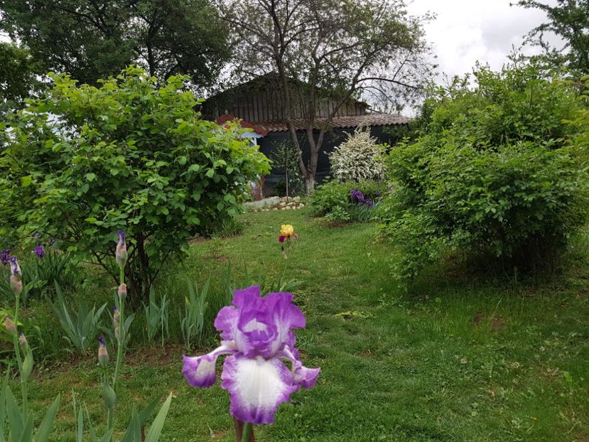  - 2020 Mart-Apr_Idilic garden