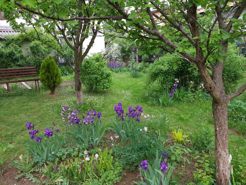  - 2020 Mart-Apr_Idilic garden