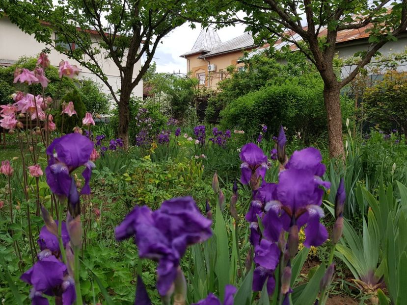  - 2020 Mart-Apr_Idilic garden