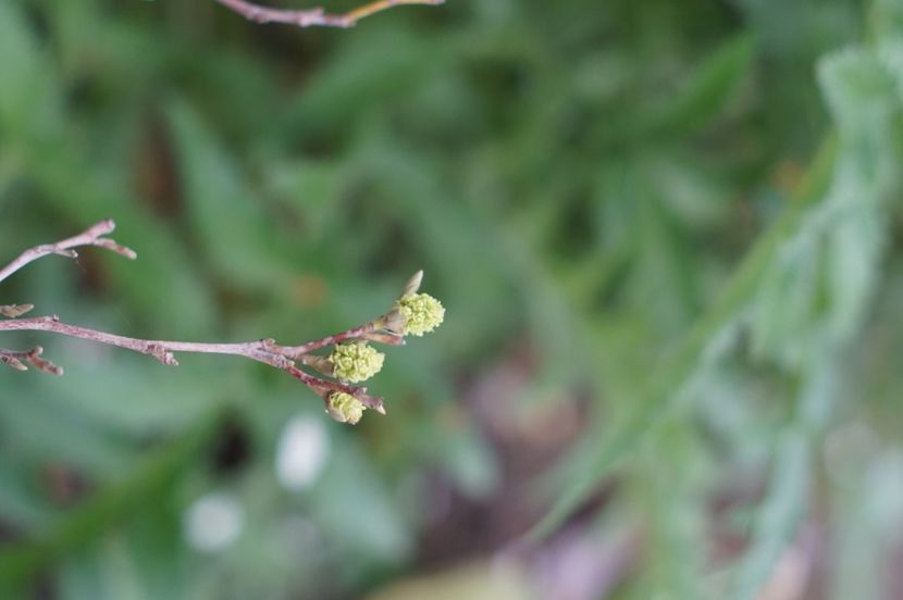  - MAI 2019- MAI 2020