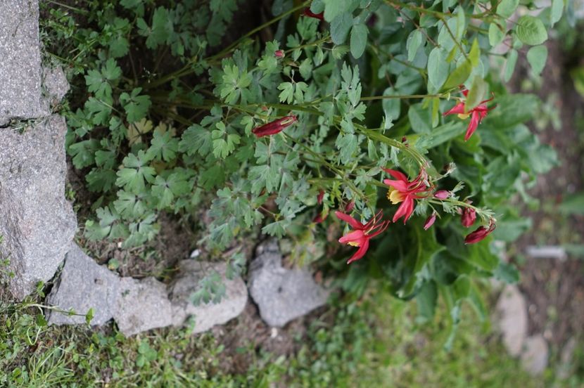  - MAI 2019- MAI 2020