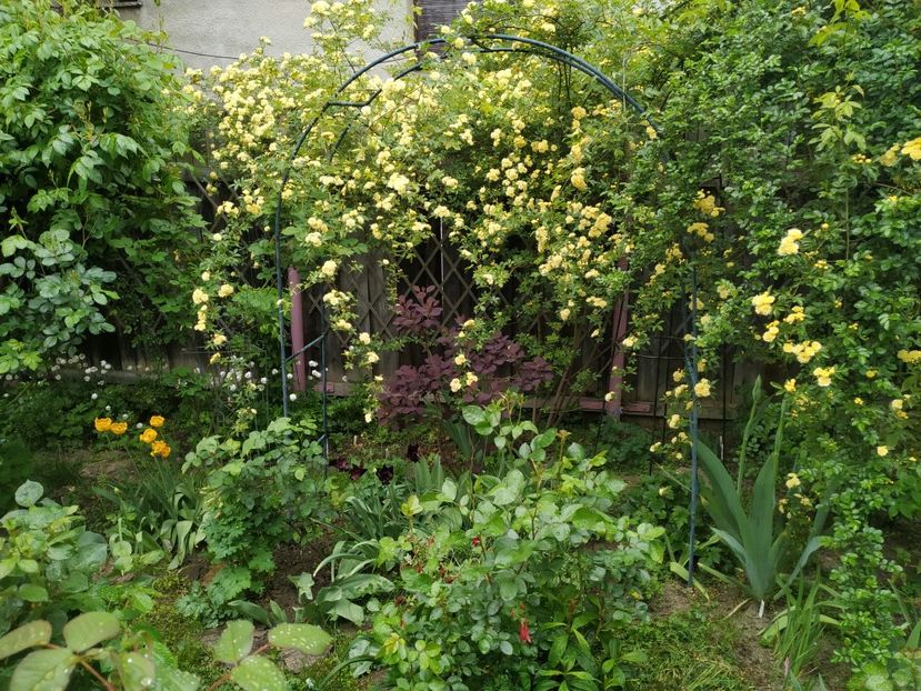  - MAI 2019- MAI 2020
