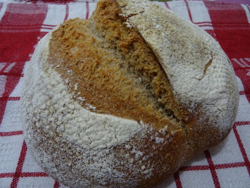  - Patakmenti-Hóstát kis gazdaság