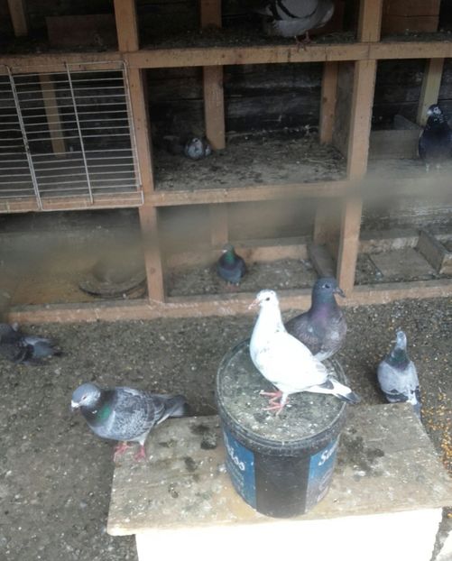 20200504_150232~2 - 2020