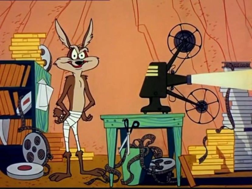 Road Runner and Wile E Coyote - Road Runner and Wile E Coyote