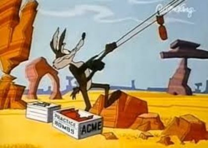 Road Runner and Wile E Coyote - Road Runner and Wile E Coyote