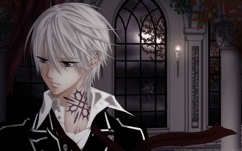 Vampire Knight (10) - Vampire Knight