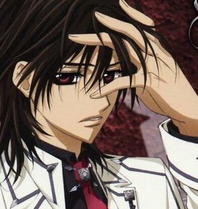 Vampire Knight (15) - Vampire Knight