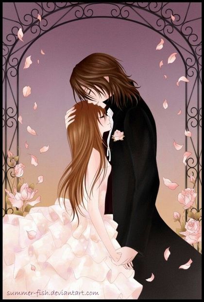 Vampire Knight (19) - Vampire Knight