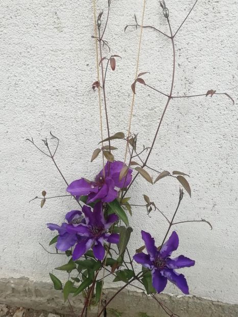 2020 - 5.05 - 19 The President