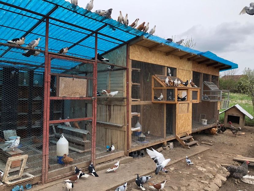  - 00000001 pe afară