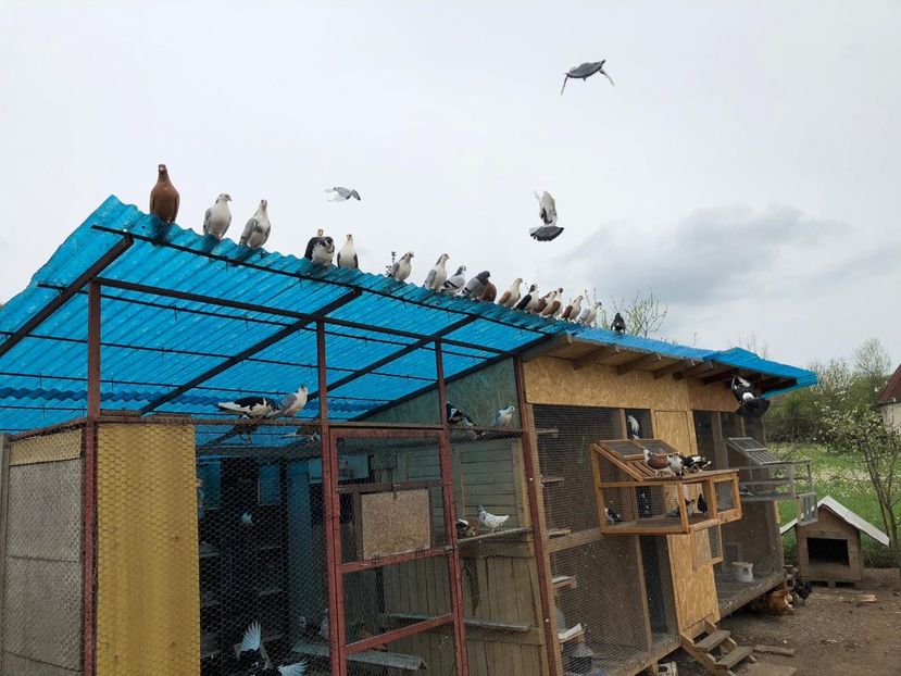  - 00000001 pe afară