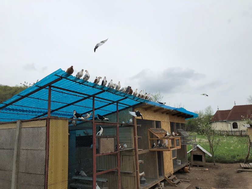  - 00000001 pe afară