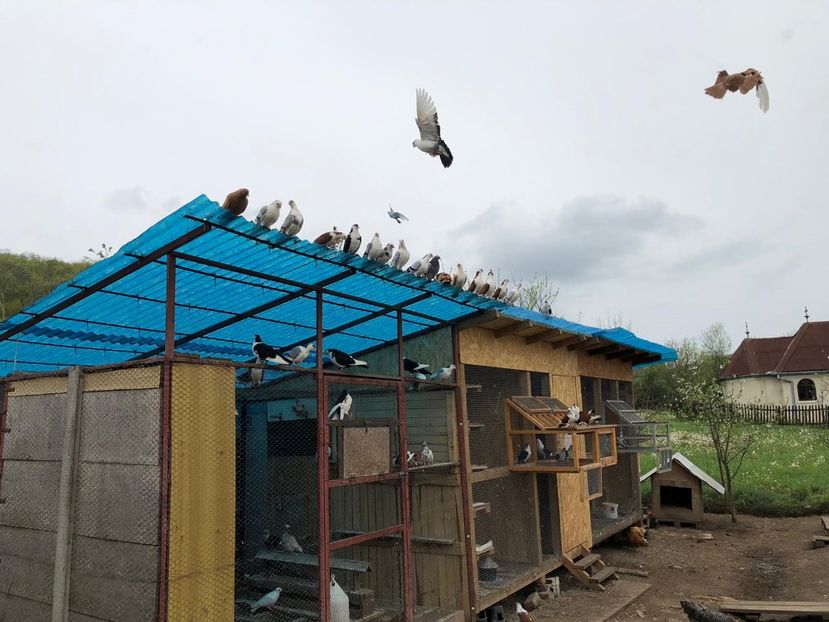  - 00000001 pe afară