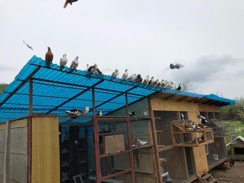  - 00000001 pe afară