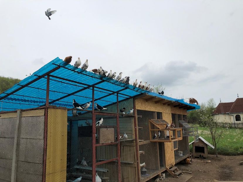  - 00000001 pe afară