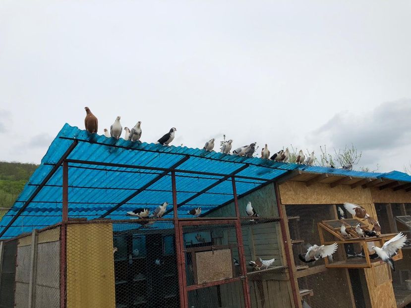  - 00000001 pe afară