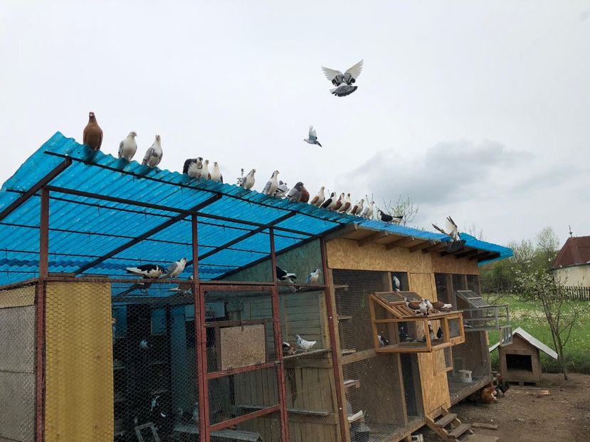  - 00000001 pe afară