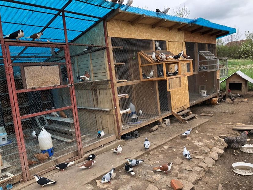  - 00000001 pe afară