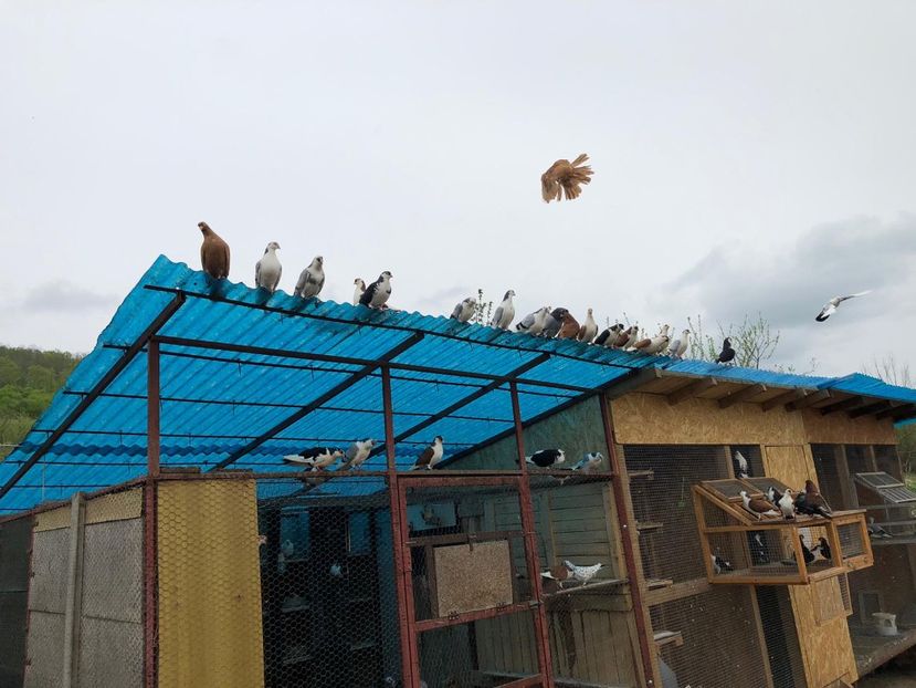  - 00000001 pe afară