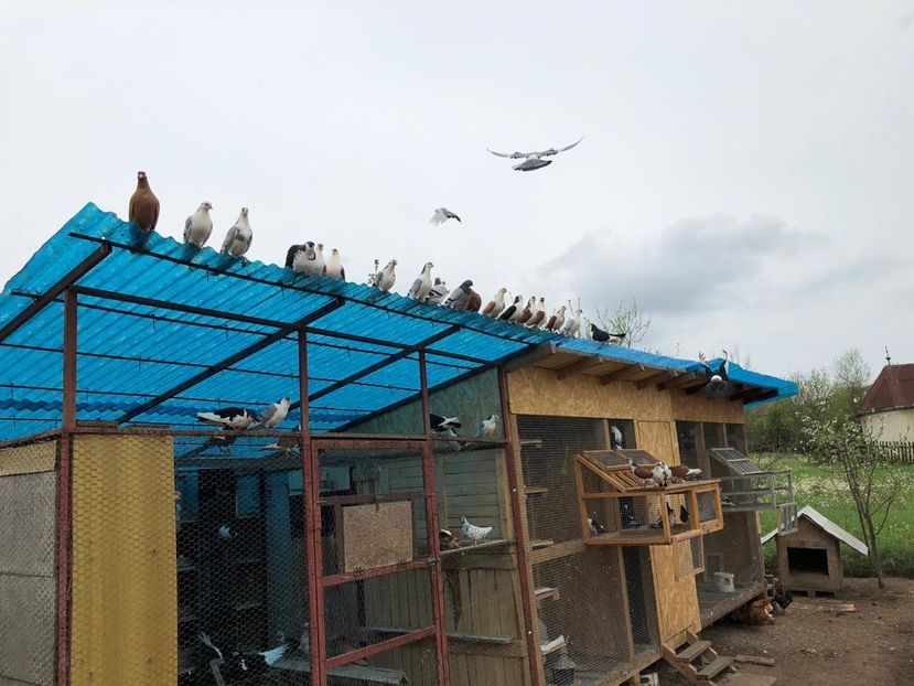  - 00000001 pe afară