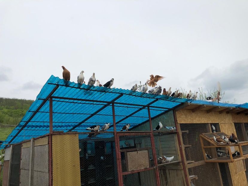  - 00000001 pe afară