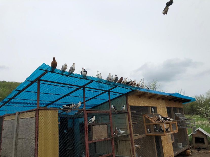  - 00000001 pe afară