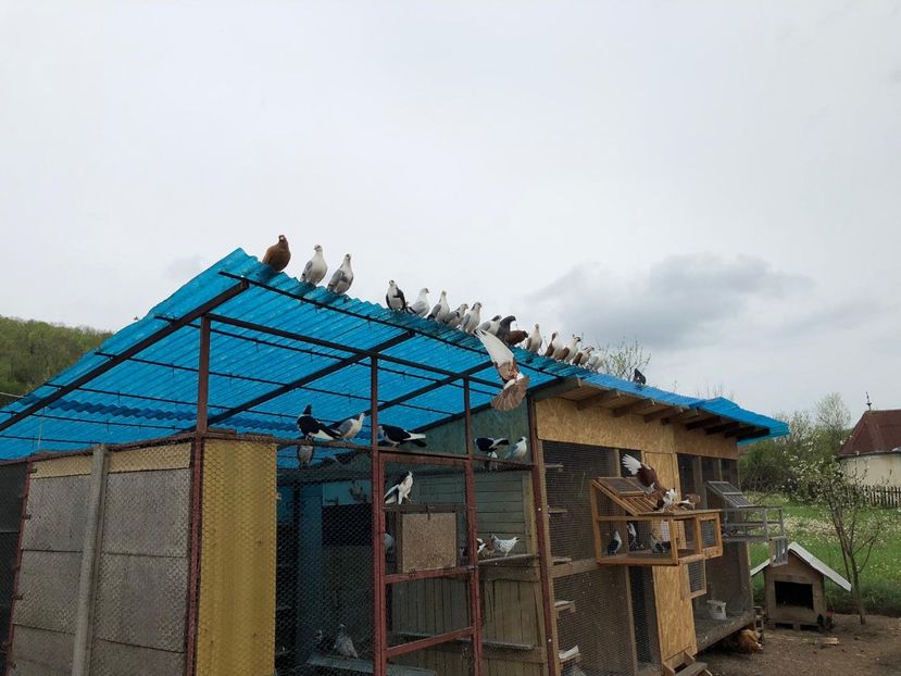  - 00000001 pe afară