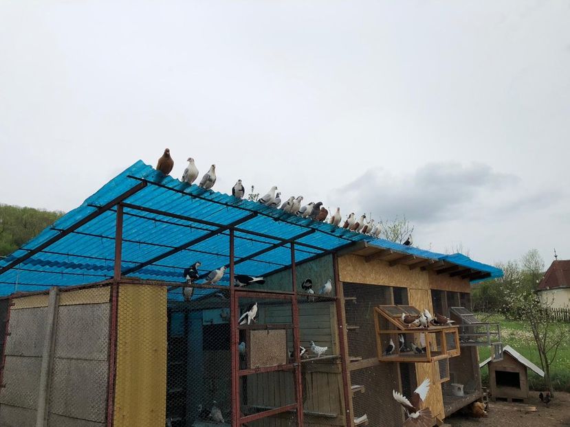  - 00000001 pe afară