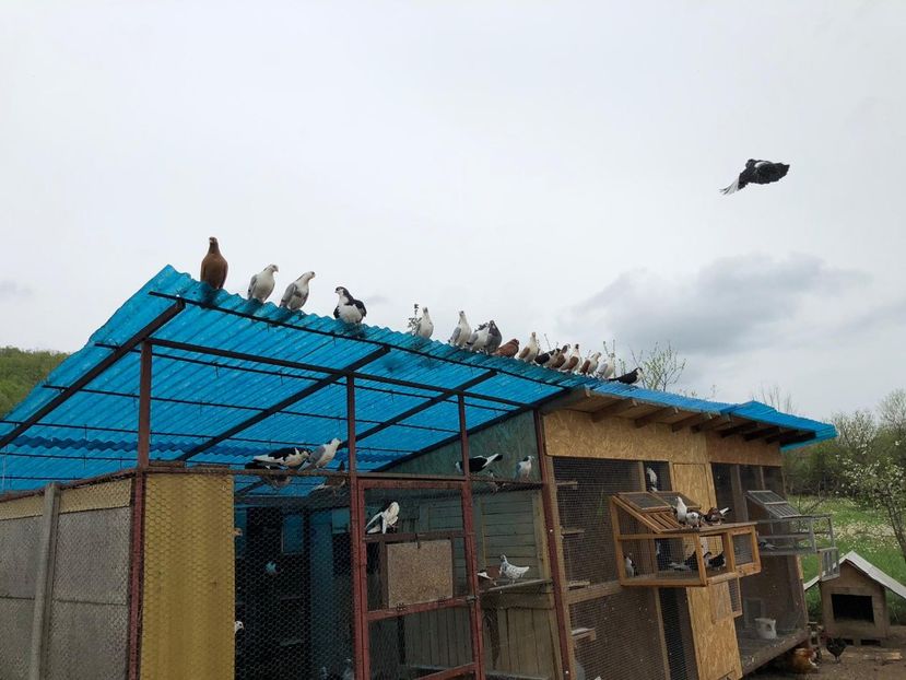  - 00000001 pe afară