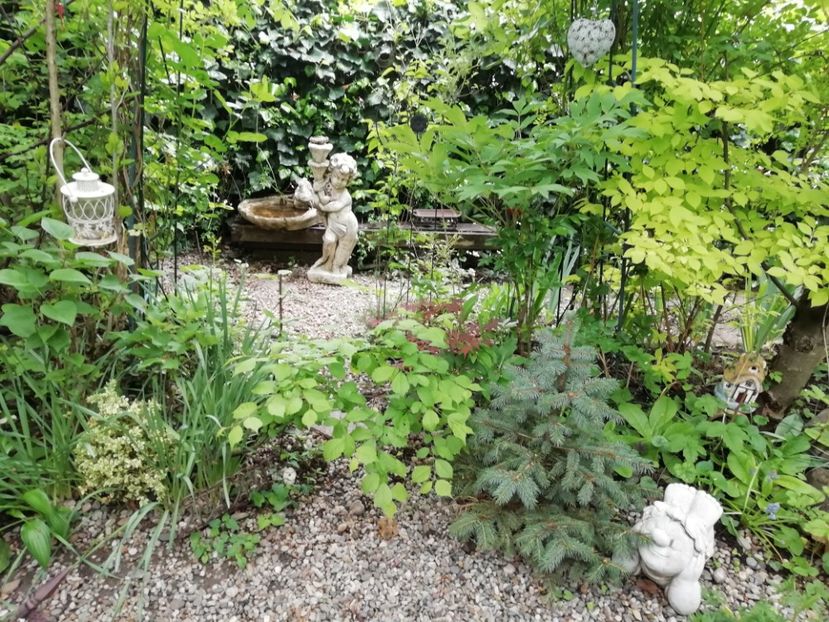  - Grădina 2020 continuare 1