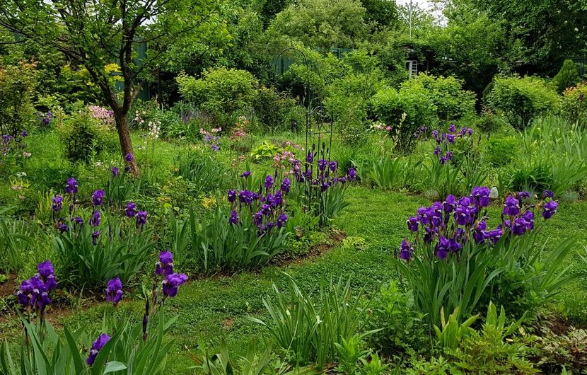  - 2020 Mart-Apr_Idilic garden