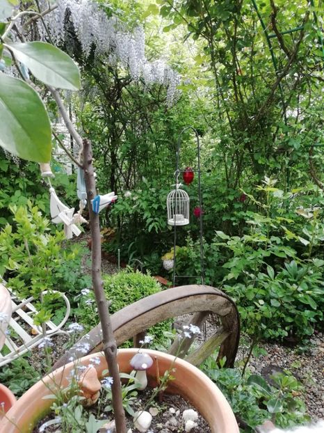 06.05.2020 - Grădina 2020 continuare 1