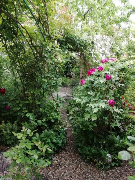  - Grădina 2020 continuare 1