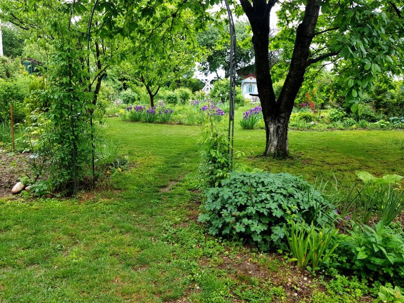  - 2020 Mart-Apr_Idilic garden