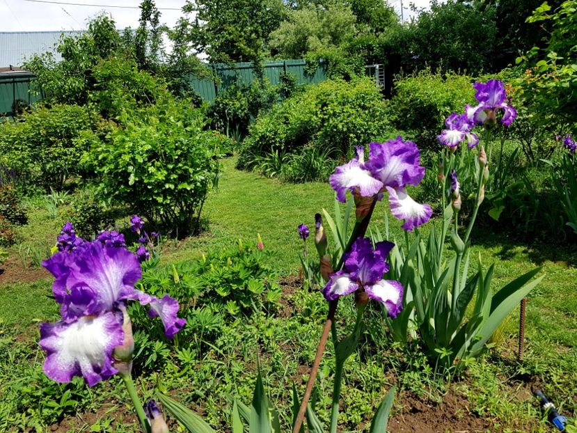  - 2020 Mart-Apr_Idilic garden