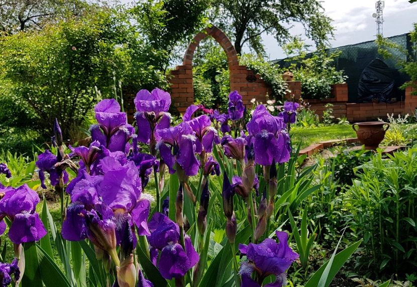  - 2020 Mart-Apr_Idilic garden