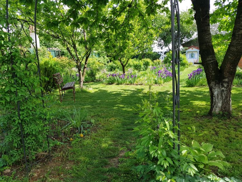  - 2020 Mart-Apr_Idilic garden